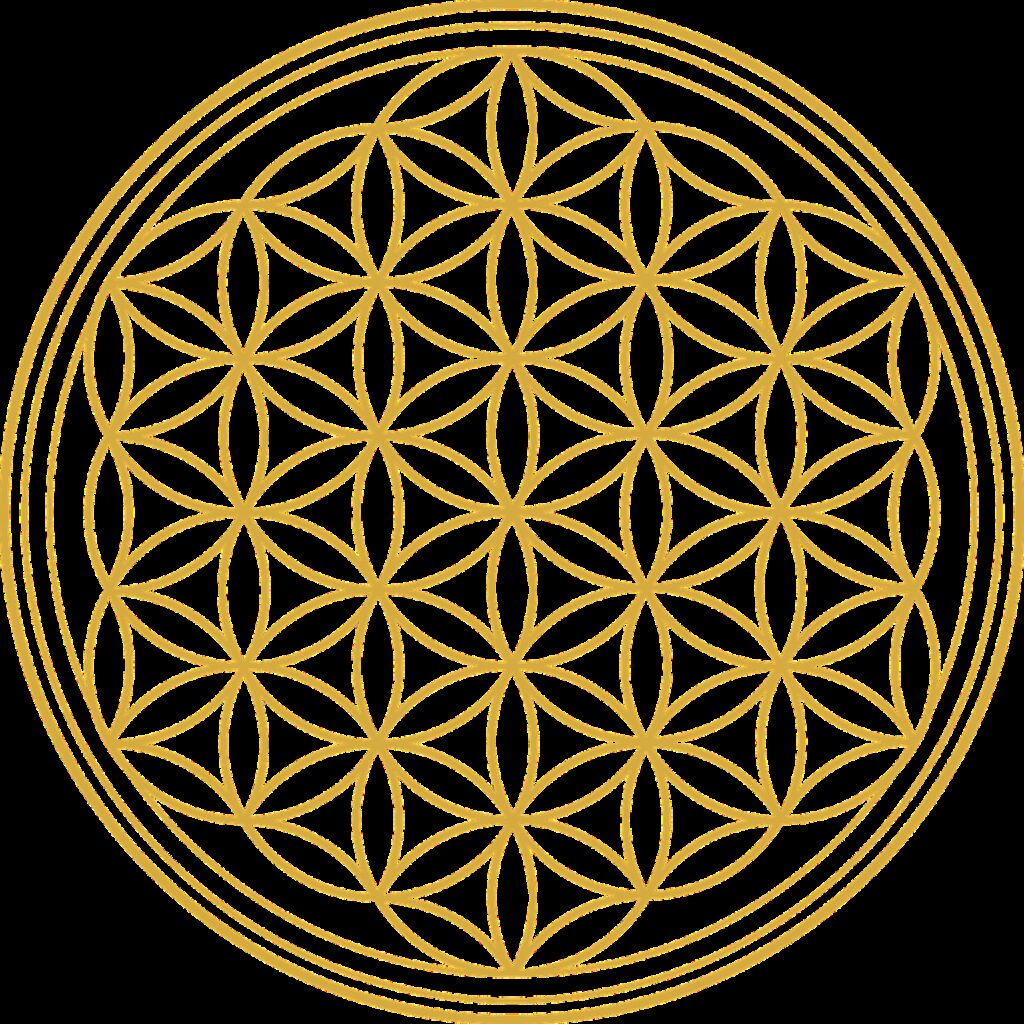 flower of life, flower, graphic